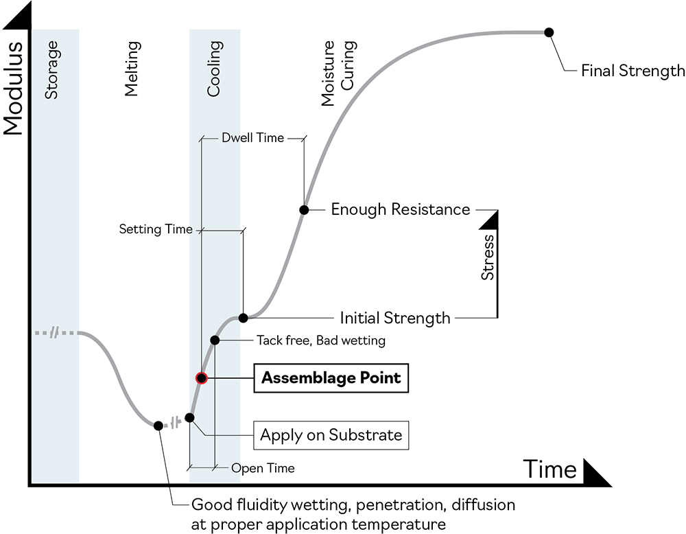 Evolution During Processing