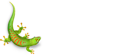 Bostik smart adhesives